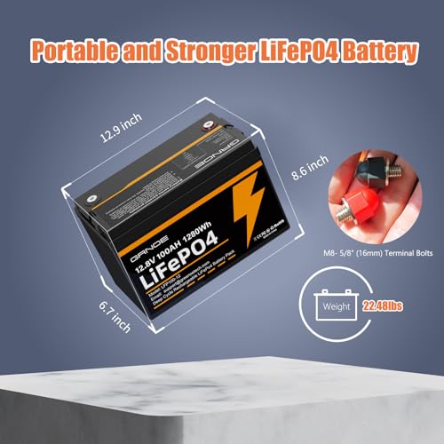 12V 100Ah LiFePO4 Battery Group 31 With Built-in 100A BMS U2021
