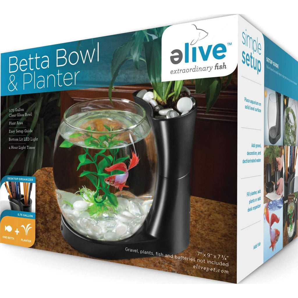 Betta Fish Bowl with Planter I8696