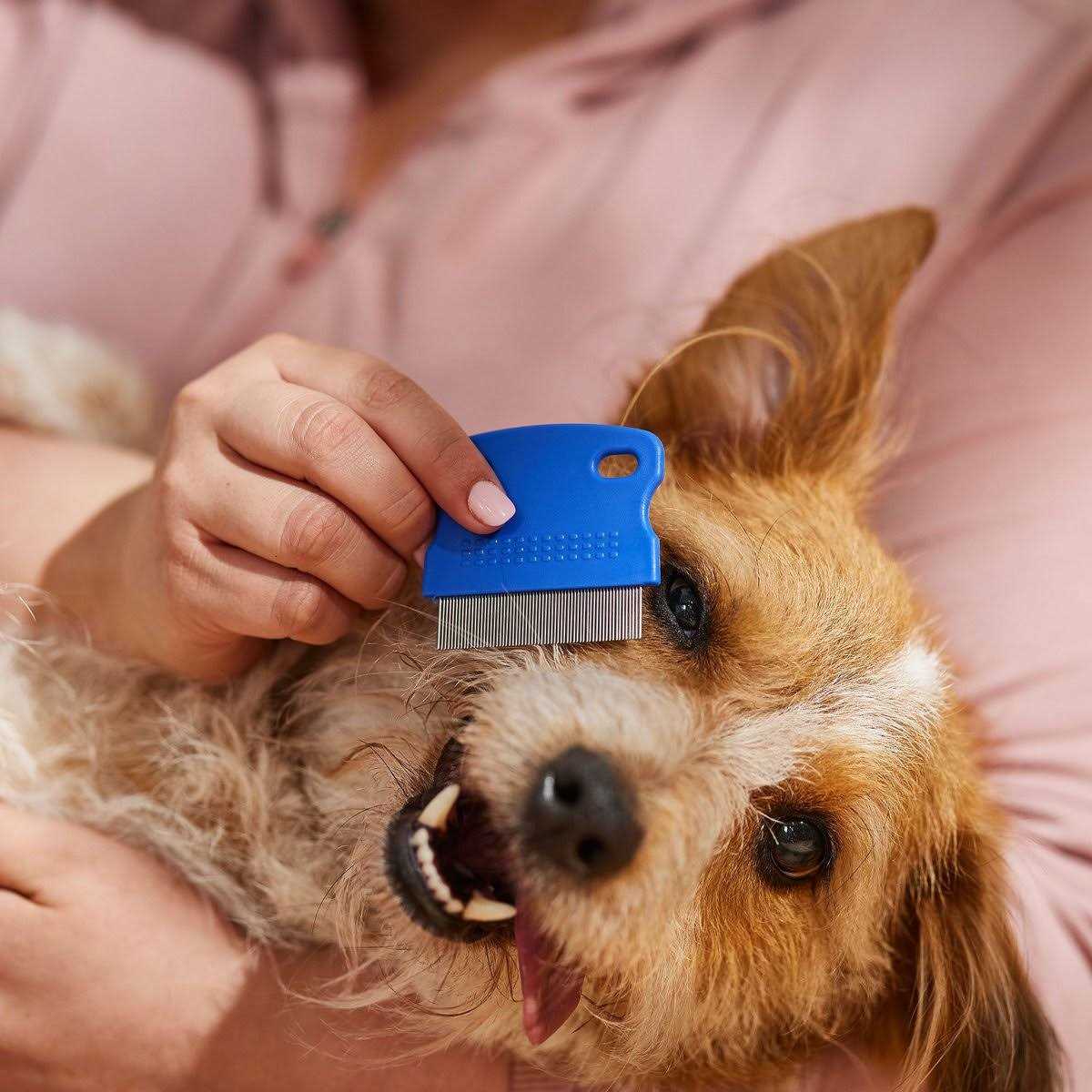 Tear Stain Remover Comb for Dogs Extra Fine Tooth C291655