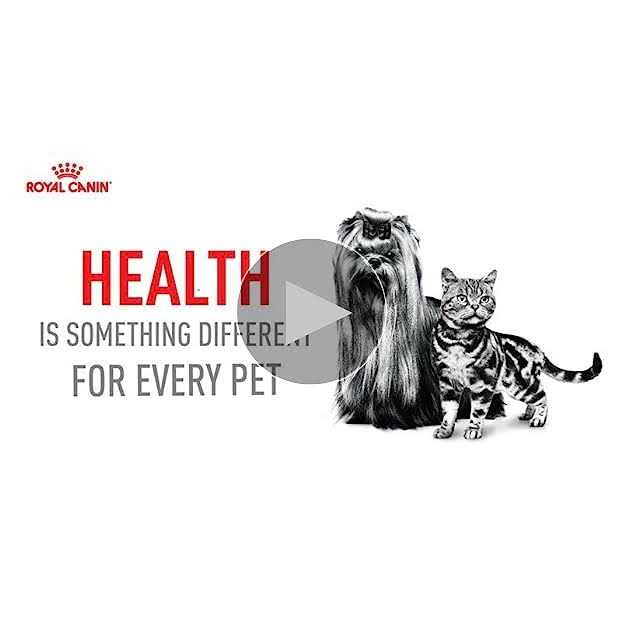Hairball Care Dry Cat Food H550