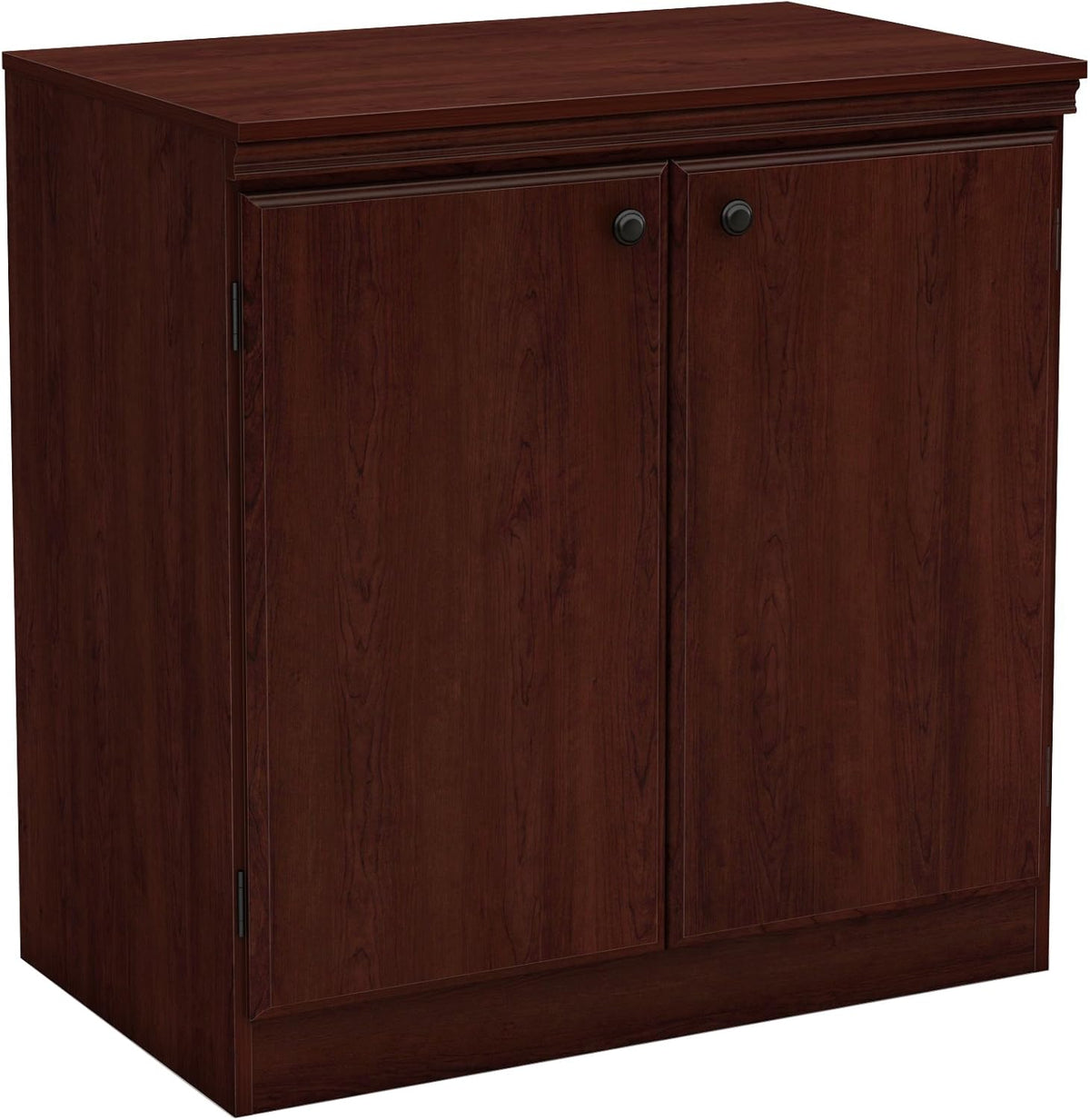 Small 2-Door Storage Cabinet with Adjustable Shelf Y266