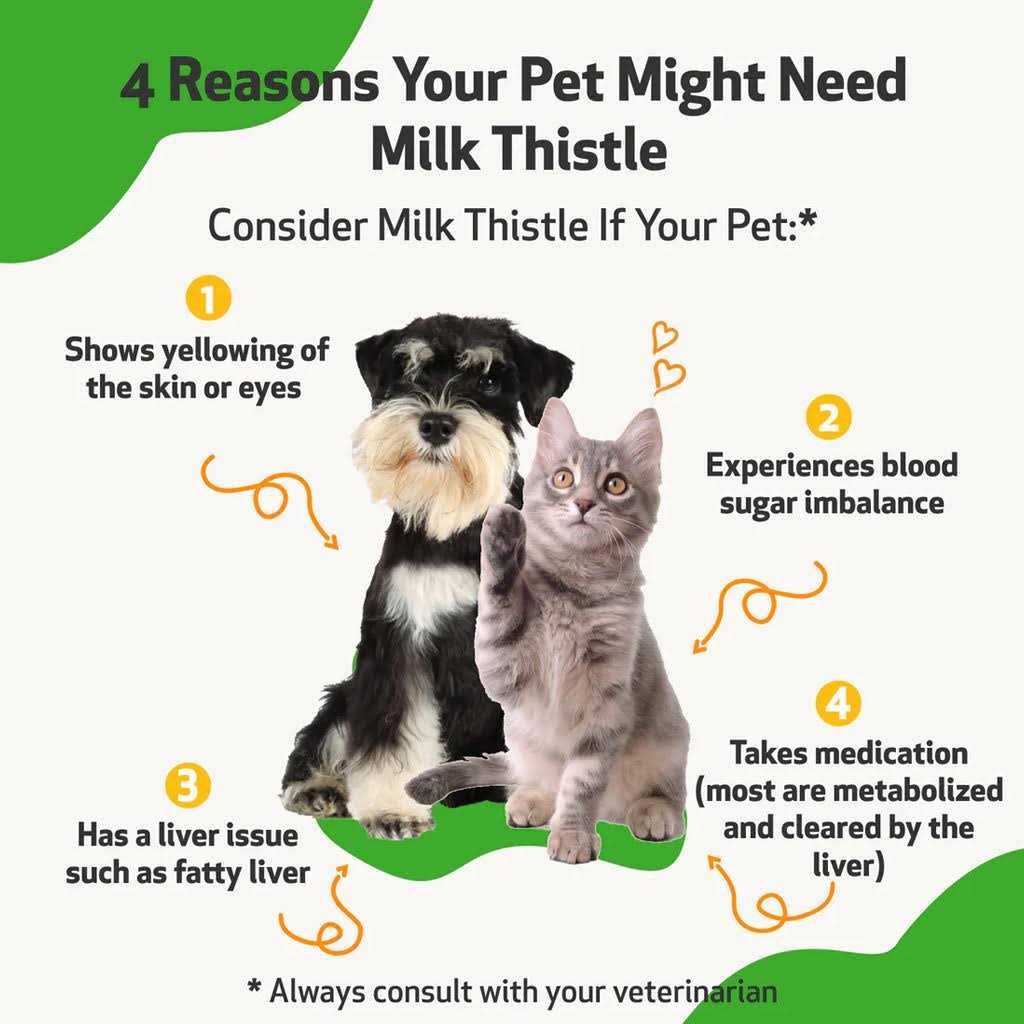 Milk Thistle for Dogs I1948
