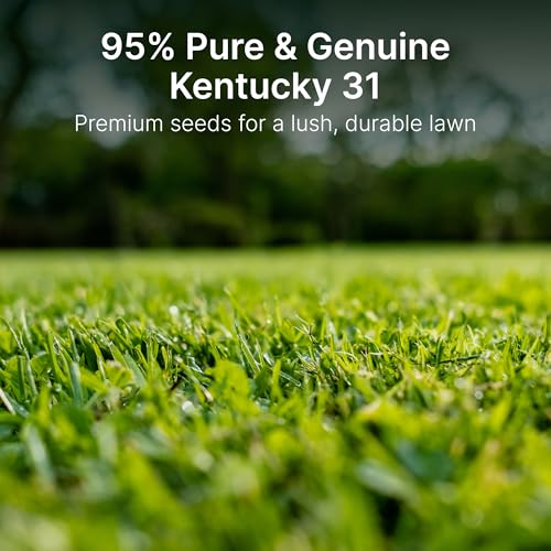 Tall Fescue Grass Seed, 5 lbs H460