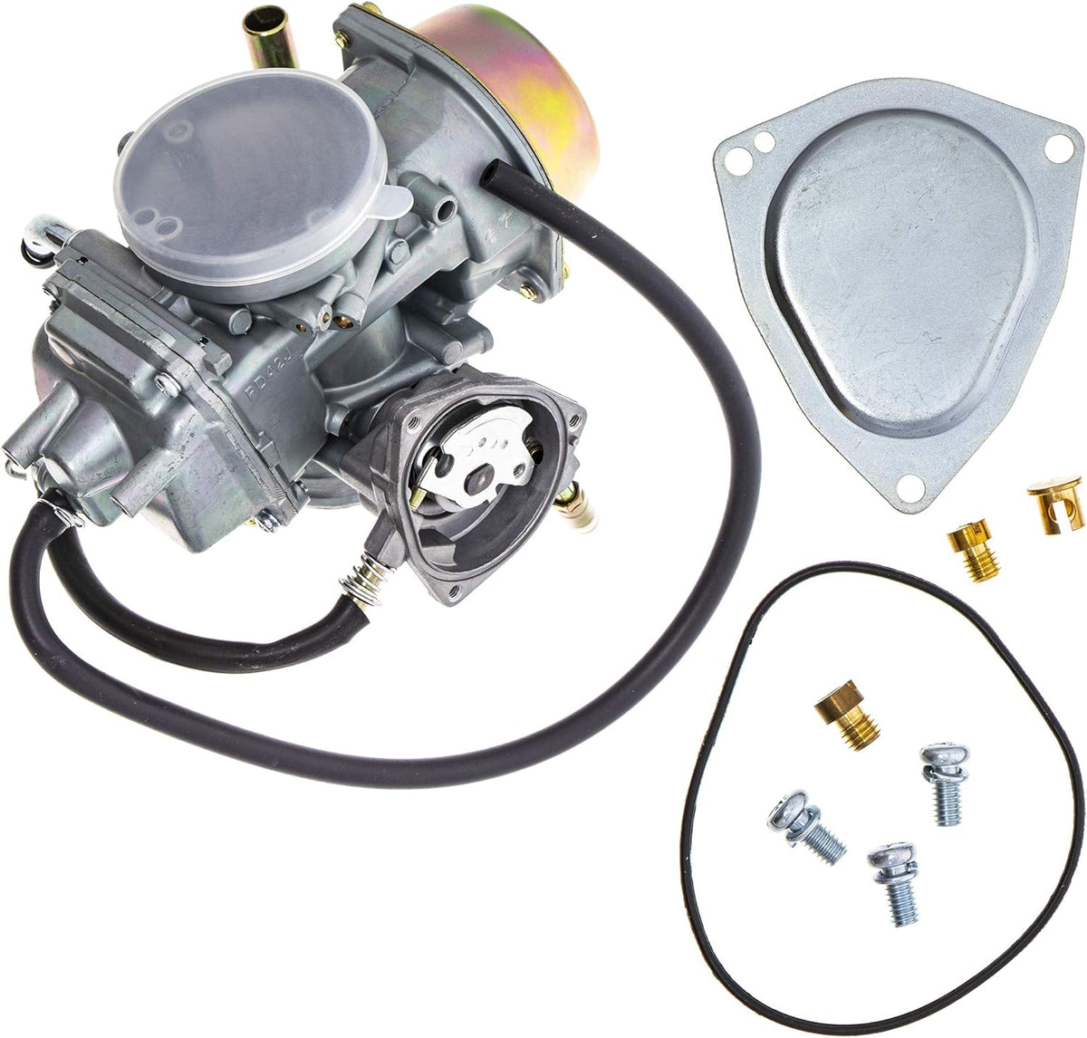 Carburetor and Fuel Pump Kit S362379
