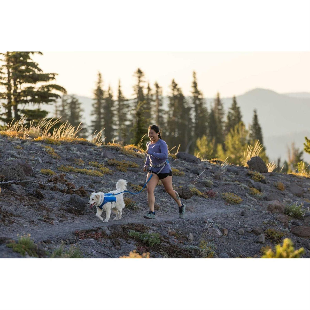 Trail Runner Belt X9724