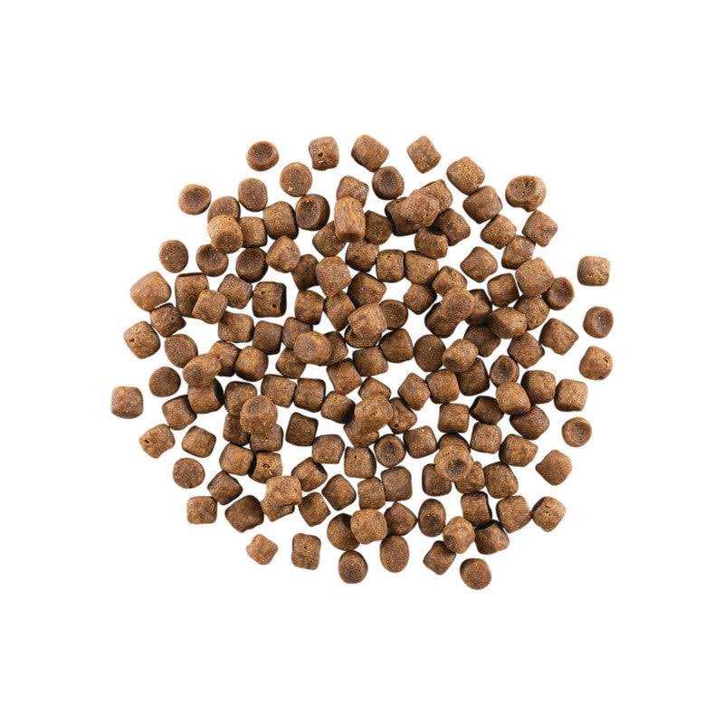 Grain Free Chicken Turkey Y6708