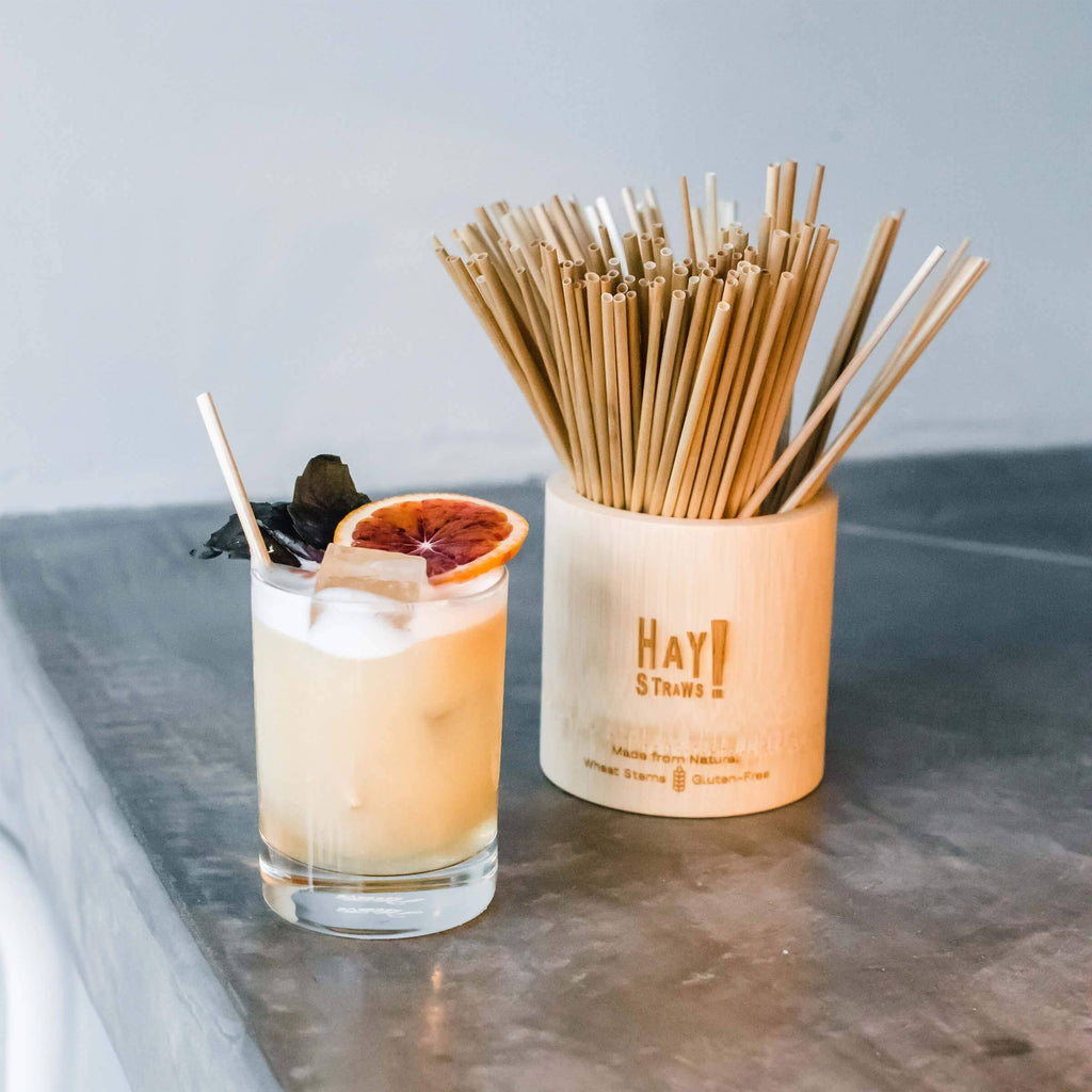 Compostable Tall Drinking Straws 12,000 Straws B3698