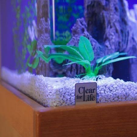 Rectangular Aquarium C987