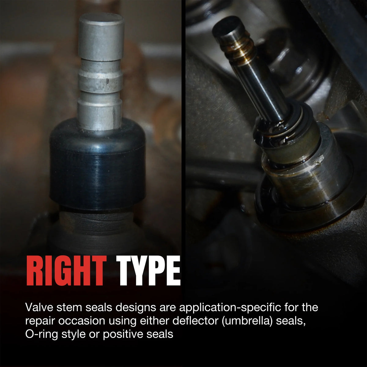 Valve Stem Seal Set D75830