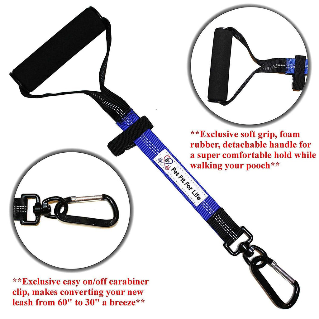 Two Dog Leash C873470