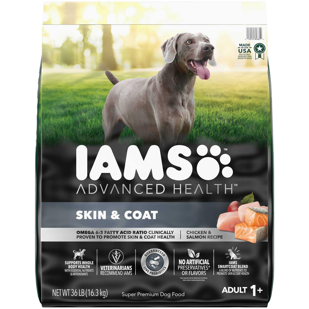 Chicken and Salmon Recipe Dry Dog Food B761294