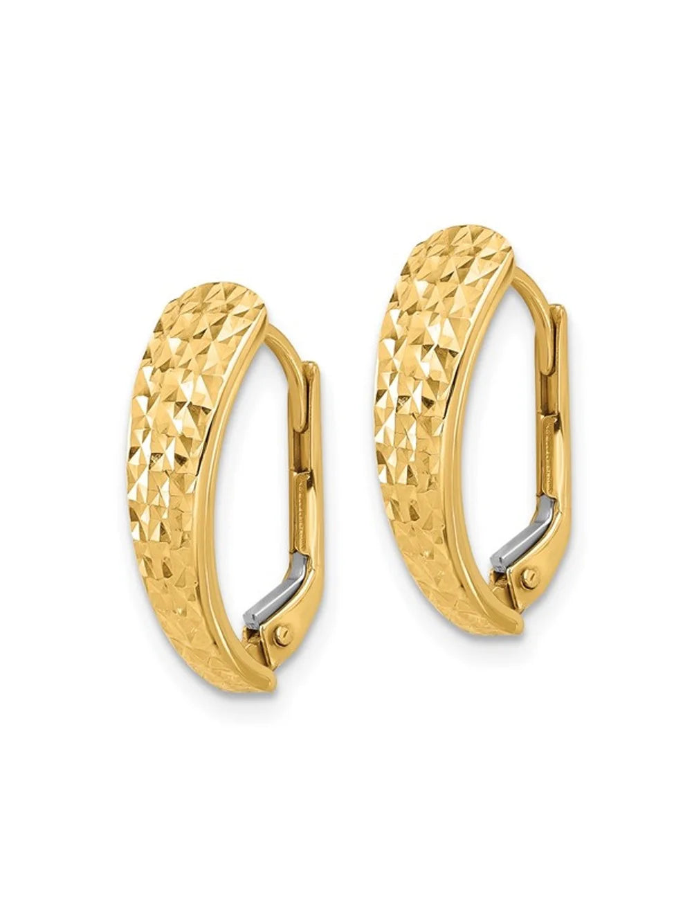 14K Yellow Gold Leverback Hoop Earrings P342