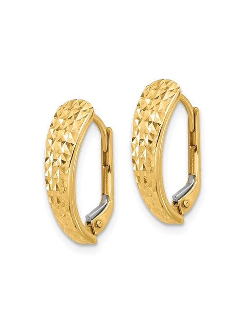 14K Yellow Gold Leverback Hoop Earrings P342