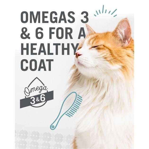 Chicken & Duck Cat Food X928