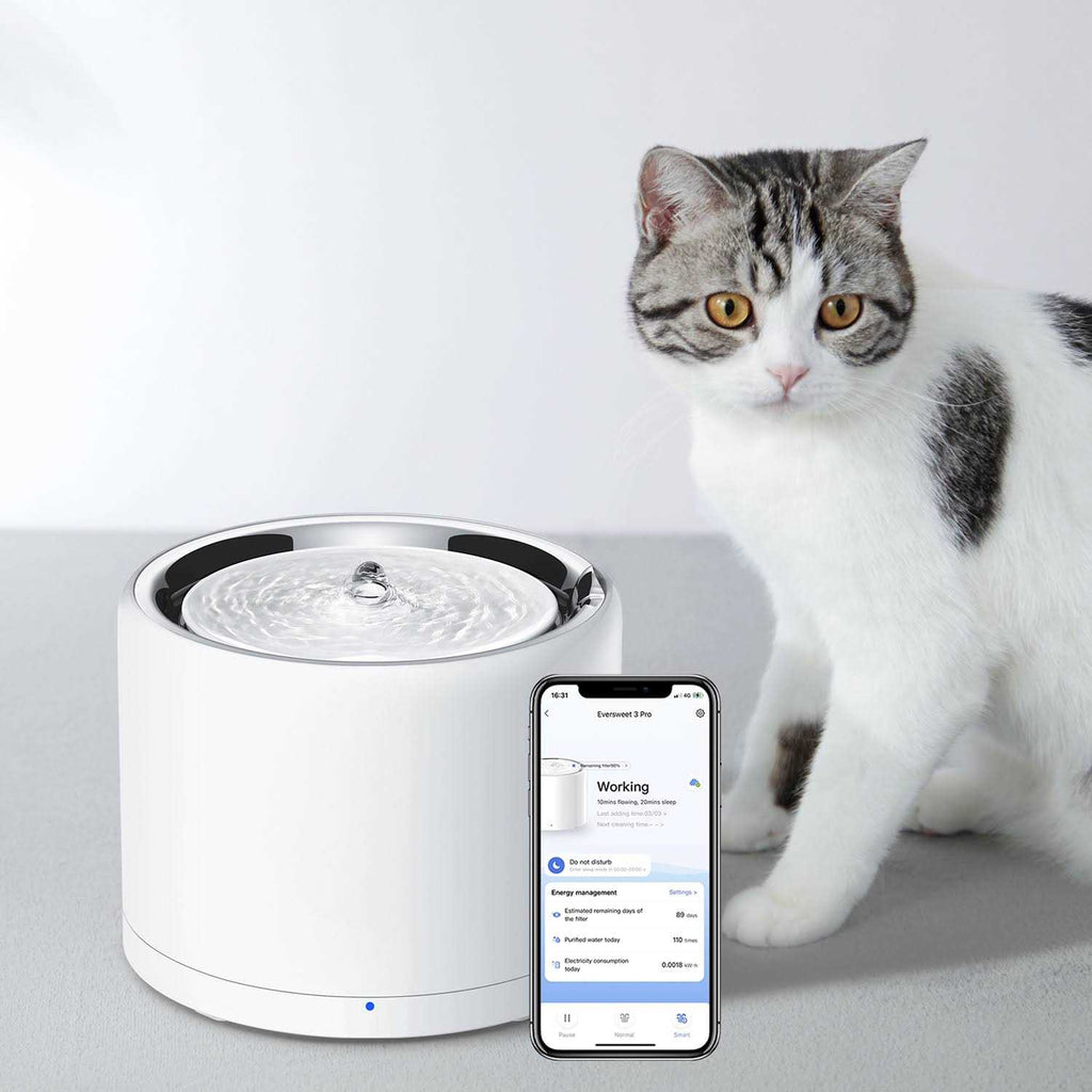 Pet Water Fountain B6120