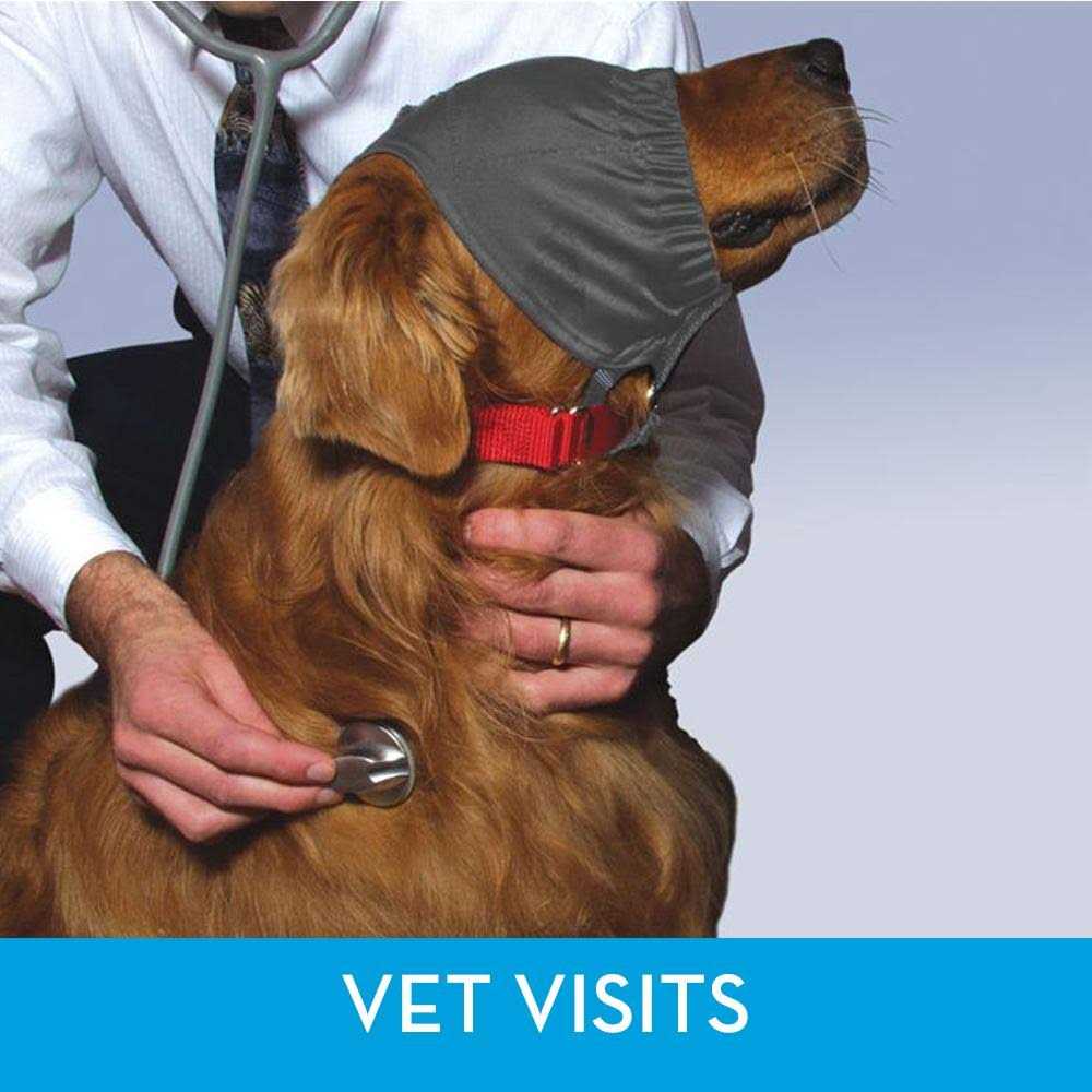 Calming Cap V665325