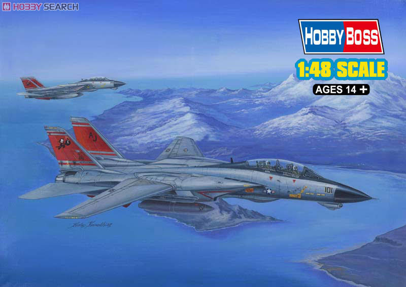1/48 F-14D Tomcat M28771