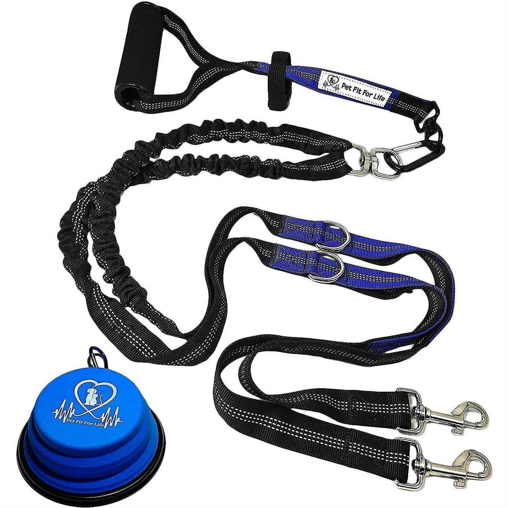 Two Dog Leash C873470