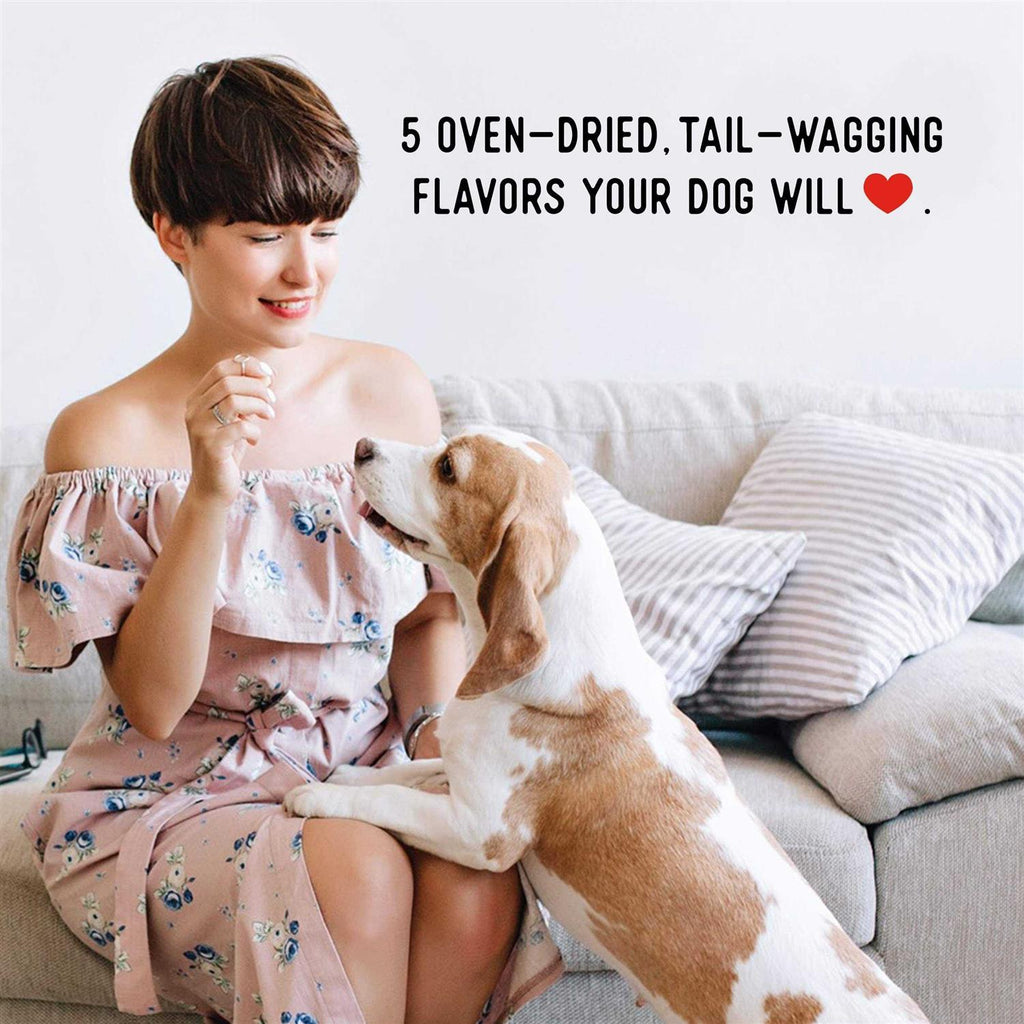 Beef Jerky Dog Treats R865017