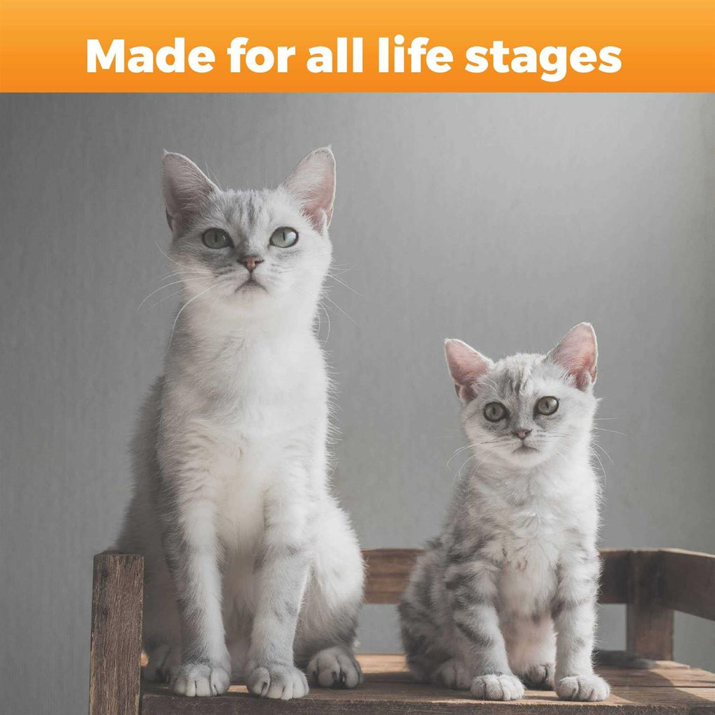 Hip & Joint Support for Cats J608910