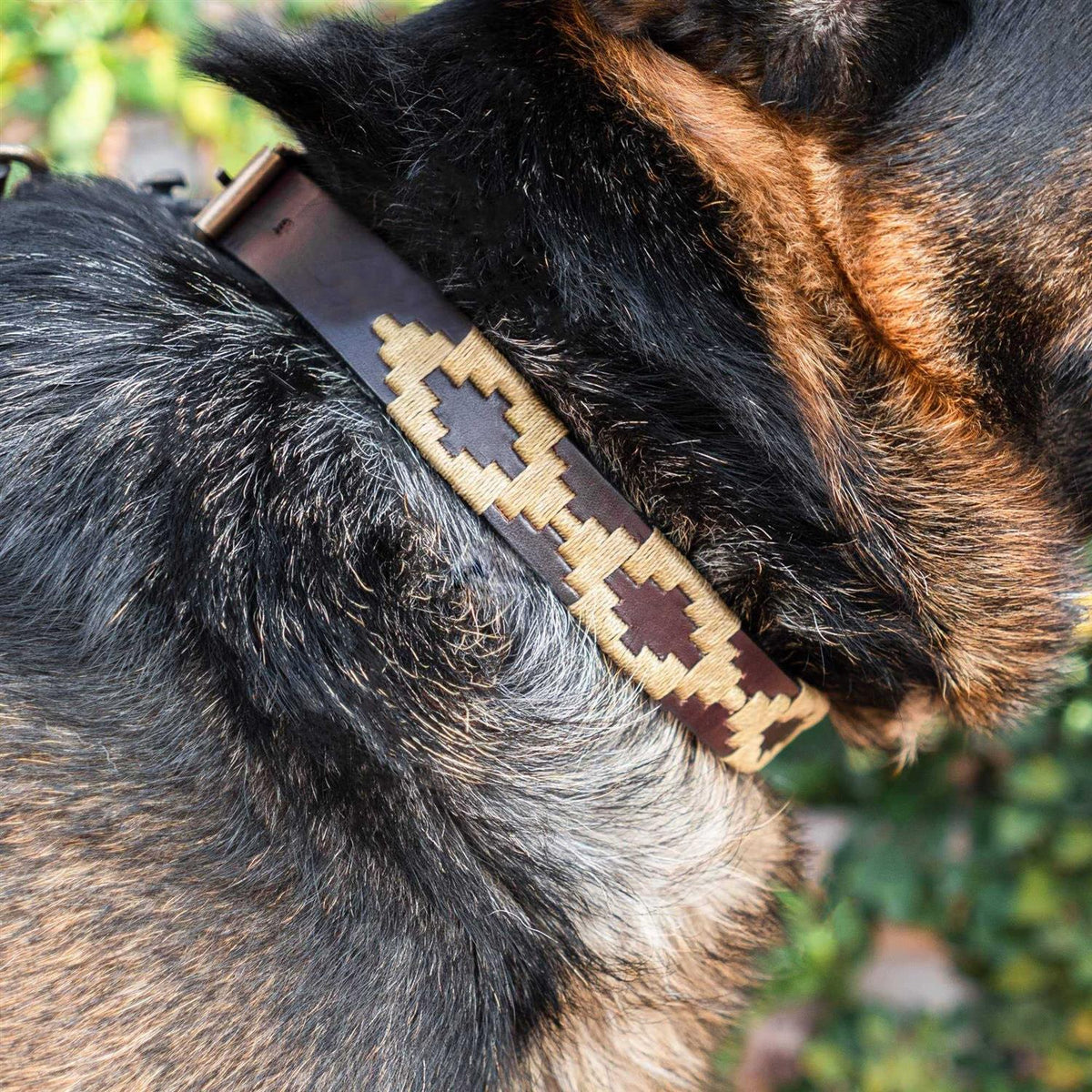 Leather Hand-Stitched Polo Dog Collar Q48236