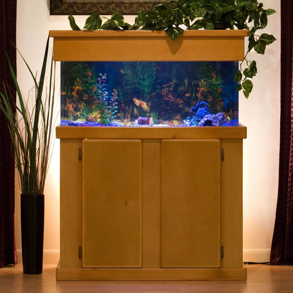 Rectangular Aquarium C987