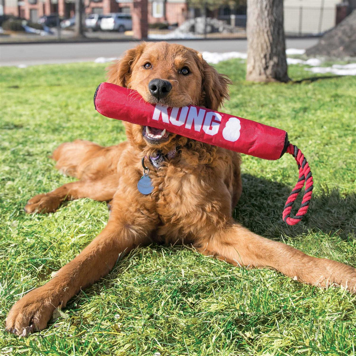 Dog Toy E22563
