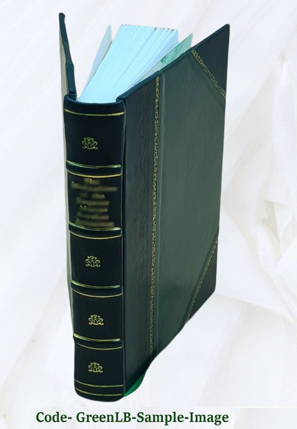 Leather Bound Q344997